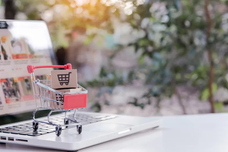 Local Shop vs. Global Store Comparing Traditional Retail with E-commerce Investment